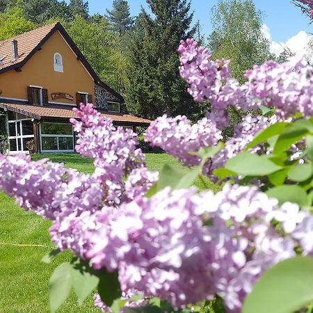 Bed and Breakfast Le Radici Сасселло Экстерьер фото