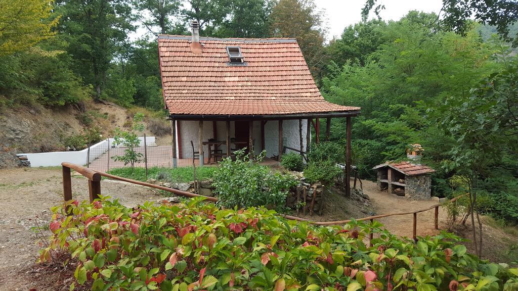 Bed and Breakfast Le Radici Сасселло Номер фото