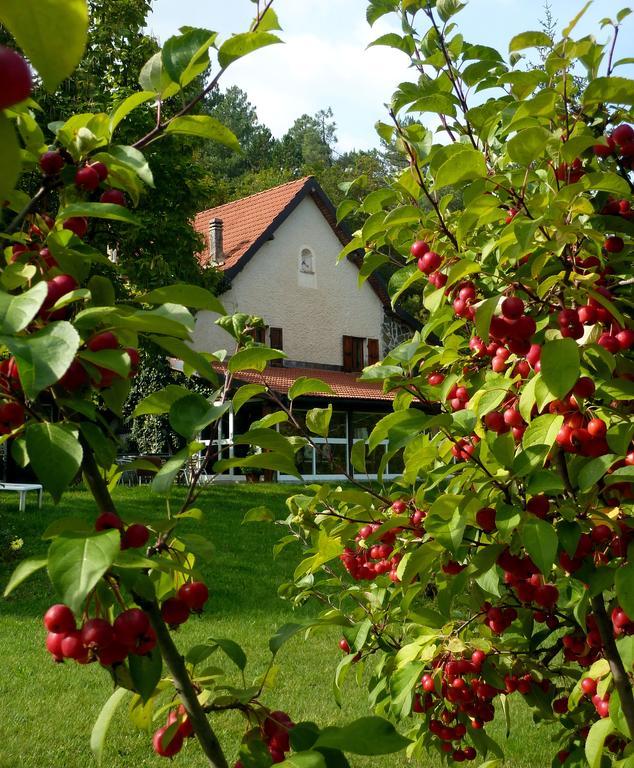 Bed and Breakfast Le Radici Сасселло Экстерьер фото