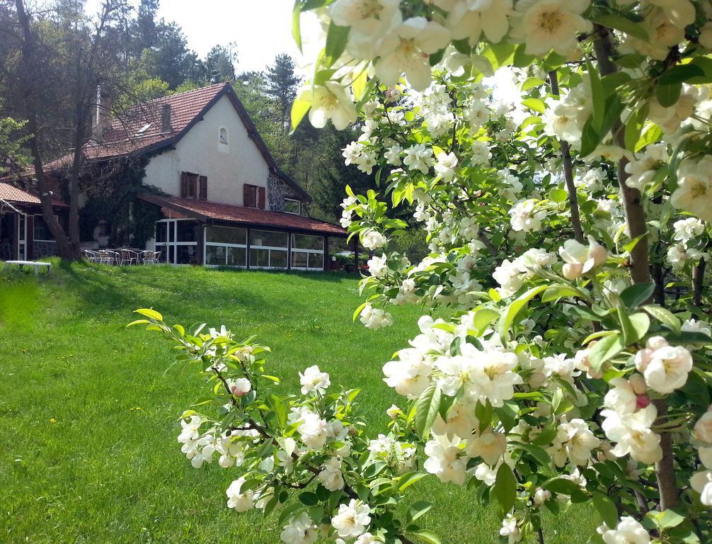 Bed and Breakfast Le Radici Сасселло Экстерьер фото